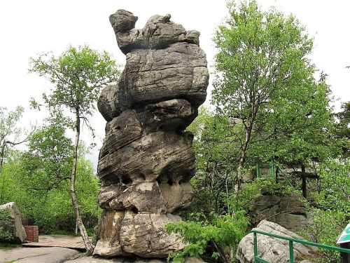 skały w Szczelińcu Wielkim